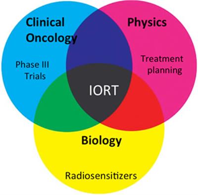 Intraoperative Radiation Therapy: A Promising Treatment Modality in Head and Neck Cancer